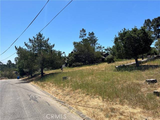 Cambria, CA 93428,0 Pineridge