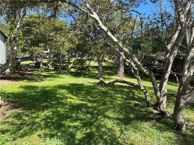 Cambria, CA 93428,0 Benson