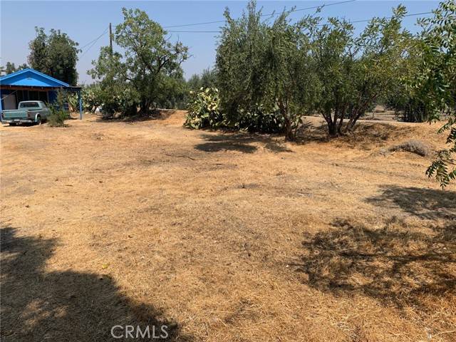 Orland, CA 95963,6306 County Road 15