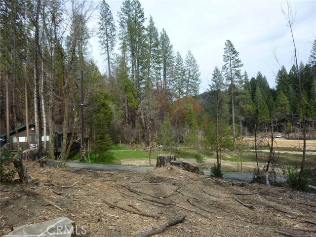 Berry Creek, CA 95916,0 Apple Hill Cir