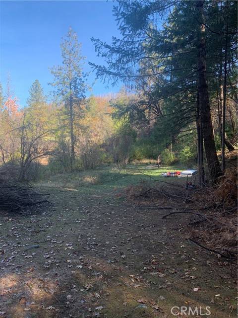 Concow, CA 95965,0 Four Trees Road