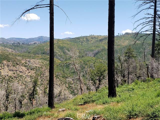 Paradise, CA 95969,1960 Dean