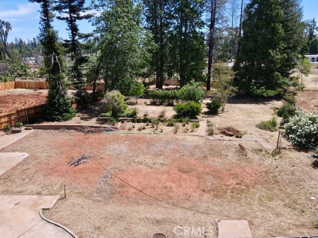 Paradise, CA 95969,696 Camellia