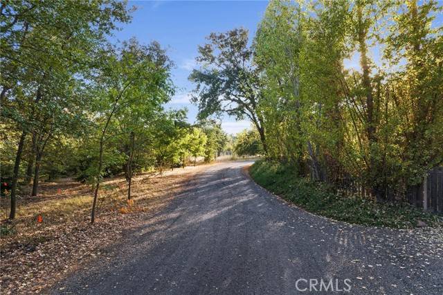 Butte Valley, CA 95965,0 Runaway Road