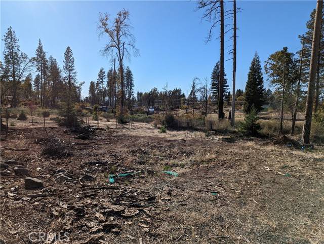 Paradise, CA 95969,6563 Rocky