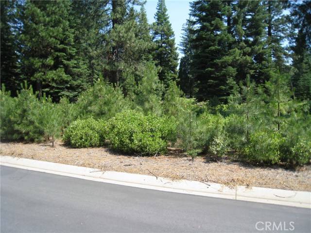 Lake Almanor, CA 96137,150 Long Leaf Pine