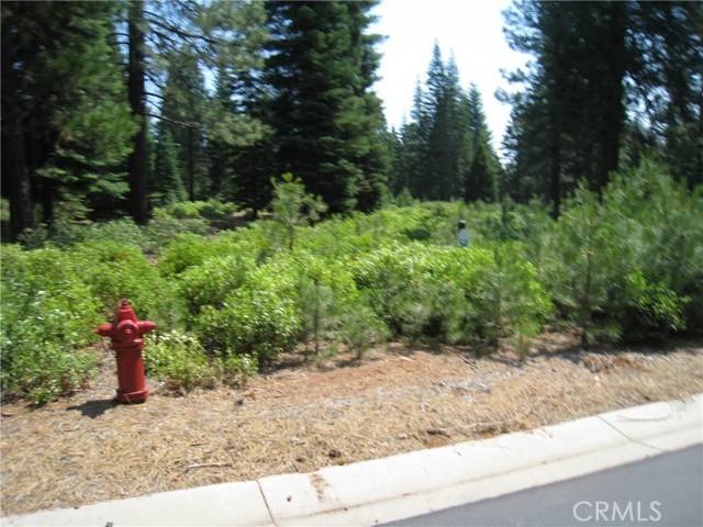 Lake Almanor, CA 96137,150 Long Leaf Pine