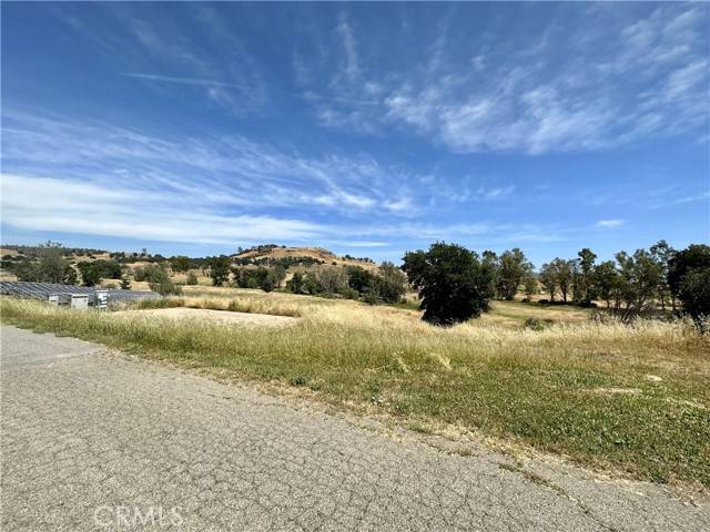 Butte Valley, CA 95965,2920 Clark #12C