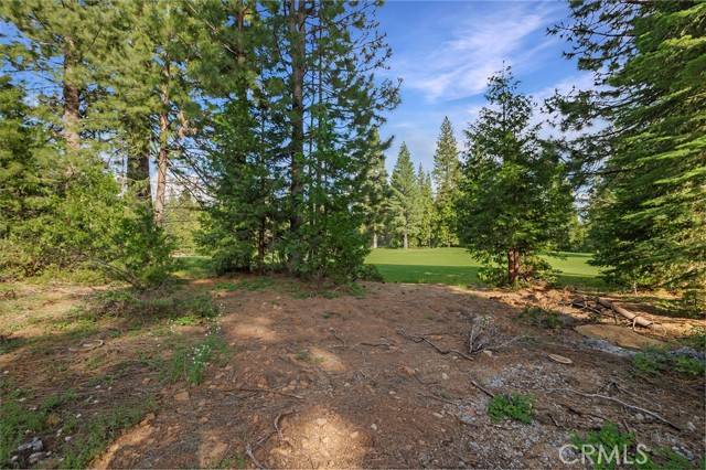 Lake Almanor Peninsula, CA 96137,181 Highwood