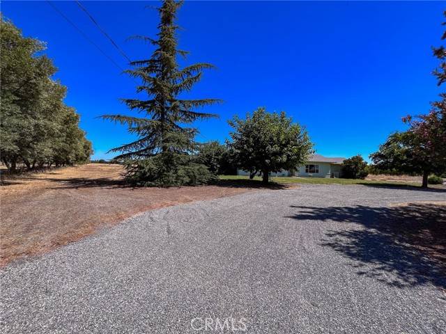 Orland, CA 95963,6906 County Road 200