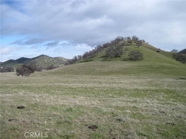 Orland, CA 95963,4750 County Road 306