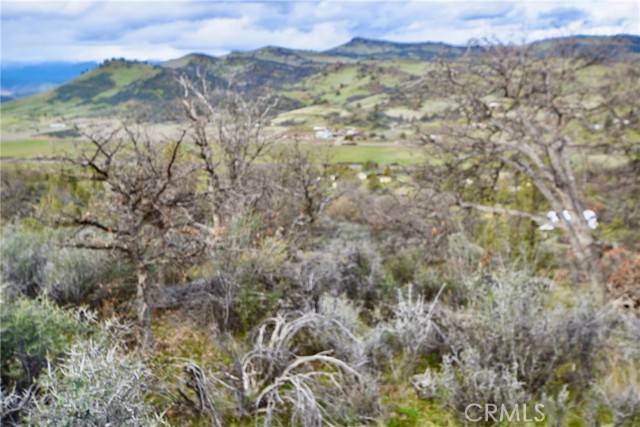 Hornbrook, CA 96044,0 Rooster