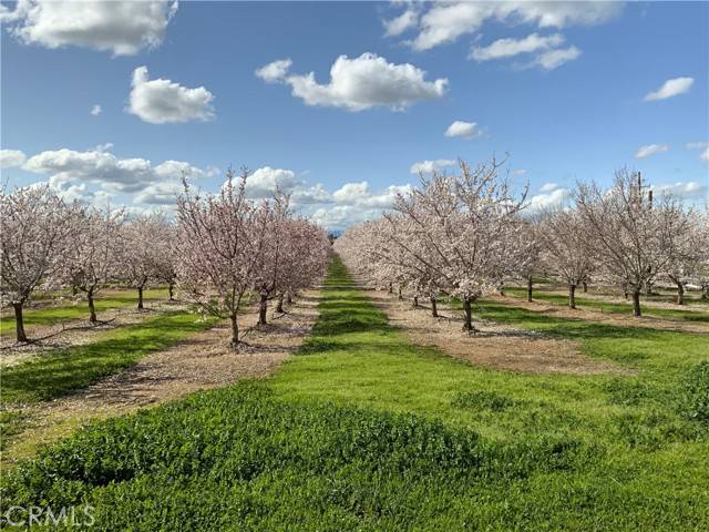 Corning, CA 96021,24895 New Jersey Avenue