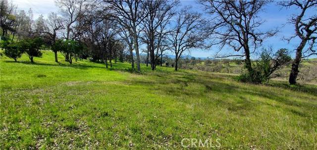 Corning, CA 96021,16220 Rancho Tehama