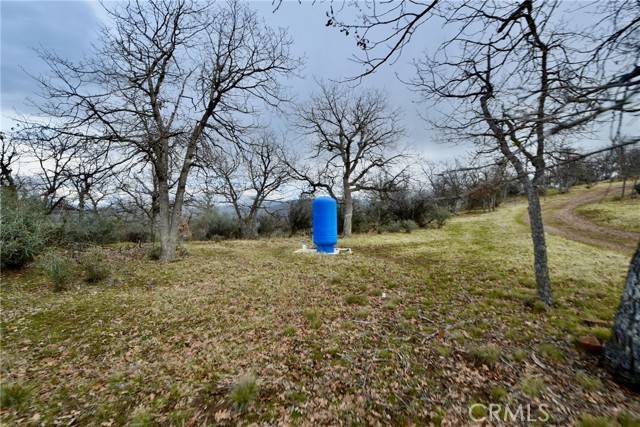 Hornbrook, CA 96044,0 Lot 356 Cougar