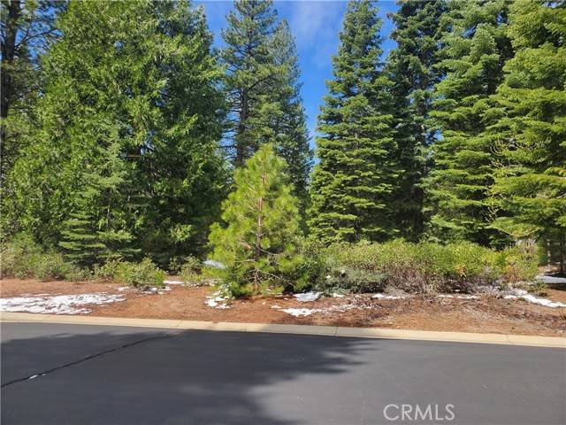 Lake Almanor, CA 96137,118 Fox Pine