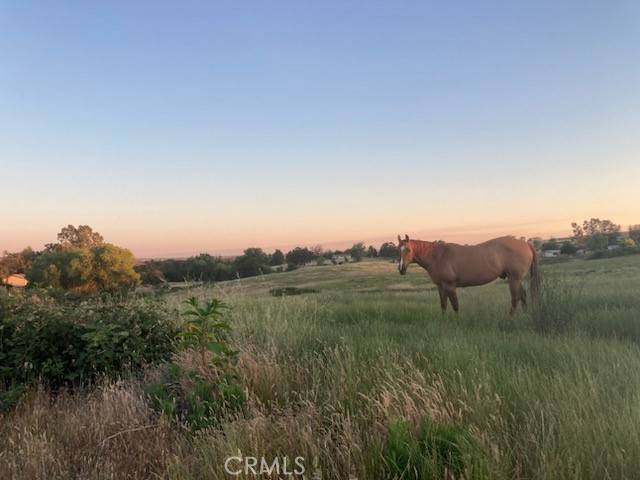 Lincoln, CA 95648,299 Thermalands