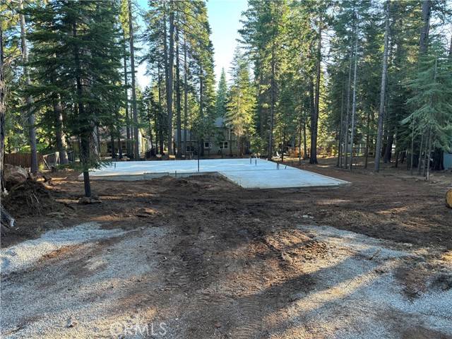 Lake Almanor West, CA 96020,317 Raccoon Trail