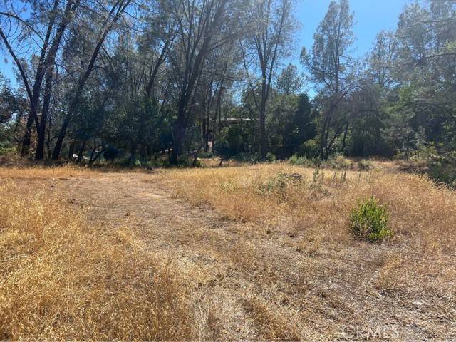 Corning, CA 96021,7632 Green Oak