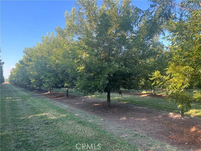 Chico, CA 95973,14450 Meridian Road