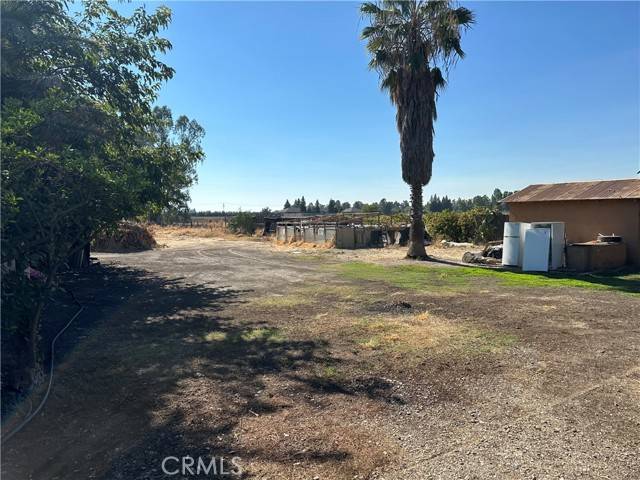 Orland, CA 95963,6657 County Road 20