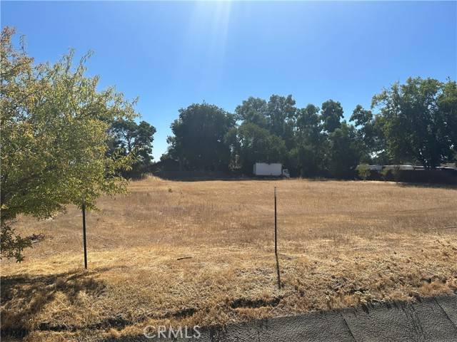 Orland, CA 95963,0 County Road 14