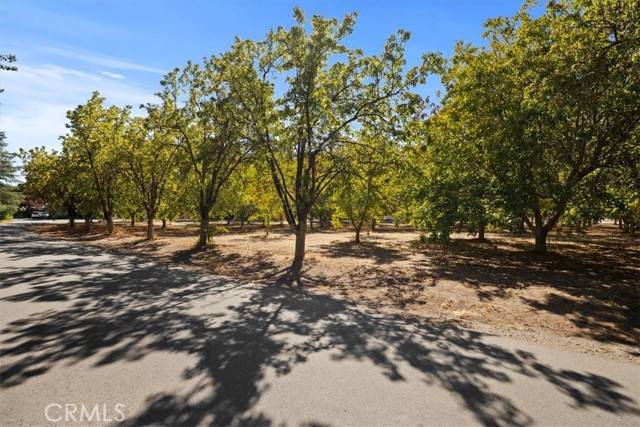 Chico, CA 95973,0 Bell Estates