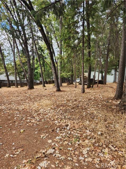 Magalia, CA 95954,0 Carnegie