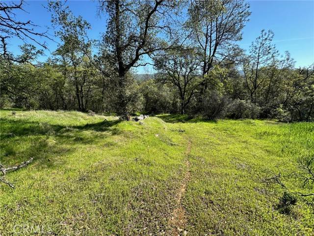 Oroville, CA 95966,169 Shady Oak