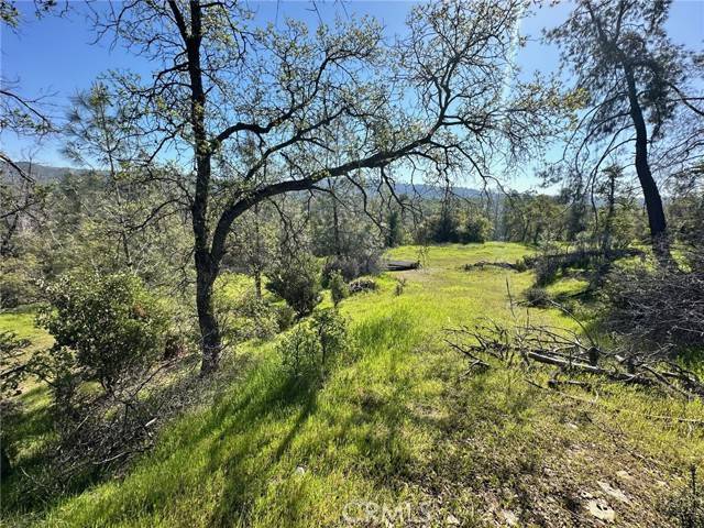 Oroville, CA 95966,169 Shady Oak