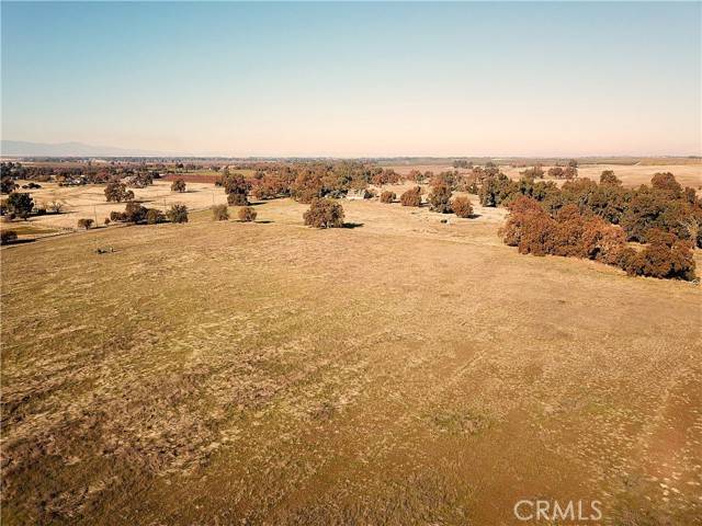Corning, CA 96021,1882 Capay