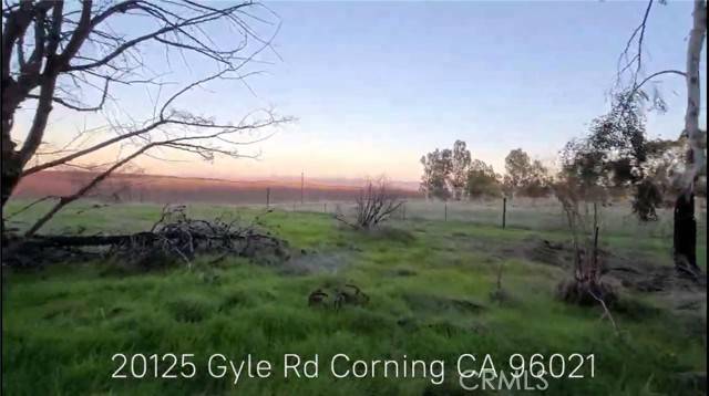 Corning, CA 96021,20125 Gyle