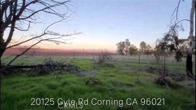 Corning, CA 96021,20125 Gyle