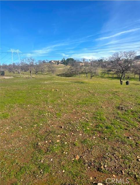 Chico, CA 95928,3460 Shadowtree