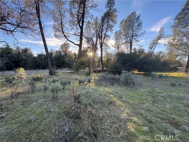 Anderson, CA 96007,4733 Bonnett