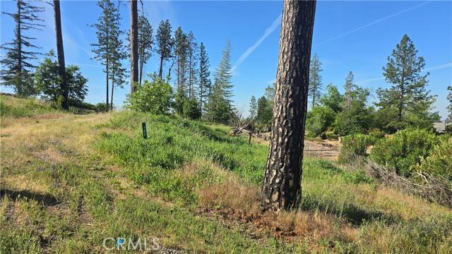 Paradise, CA 95969,790 Highland
