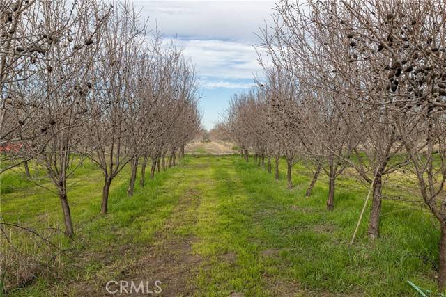 Corning, CA 96021,6330 Piedmont Road