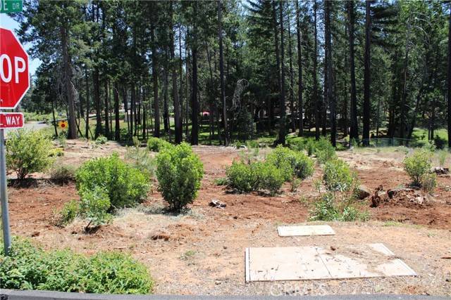 Magalia, CA 95954,13915 Andover
