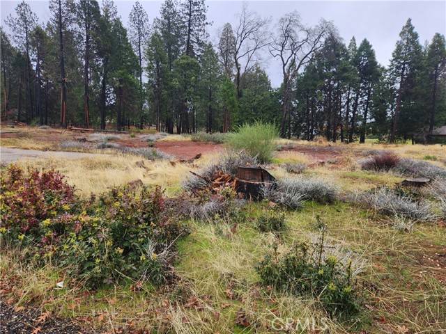 Magalia, CA 95954,13744 W Park