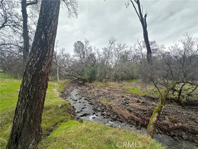 Butte Valley, CA 95965,0 Royal Mountain