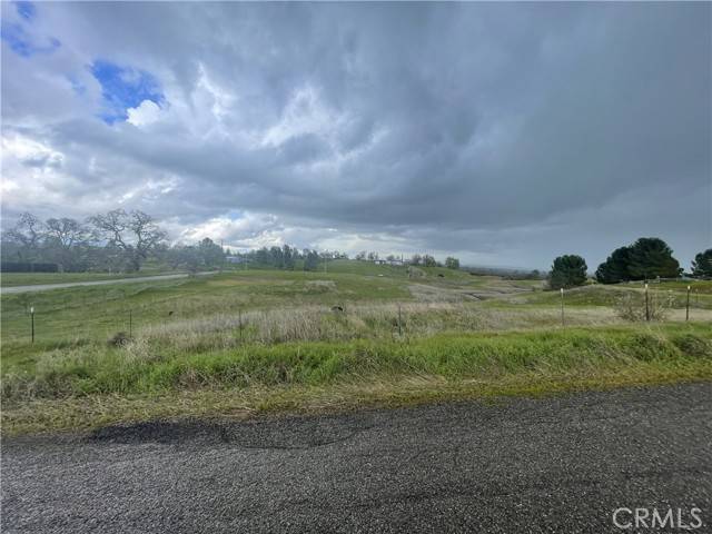Corning, CA 96021,17164 Wagon Wheel