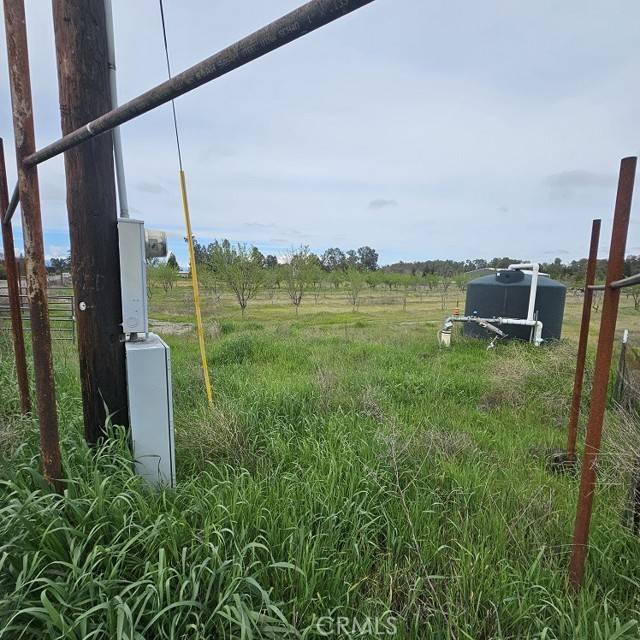 Orland, CA 95963,6378 County Road 11