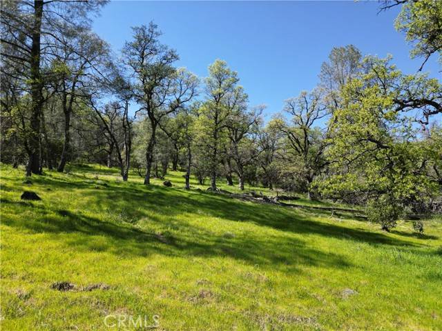 Oroville, CA 95965,0 Hidden Mine Rd