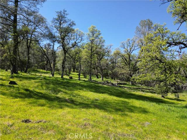 Oroville, CA 95965,0 Hidden Mine Rd