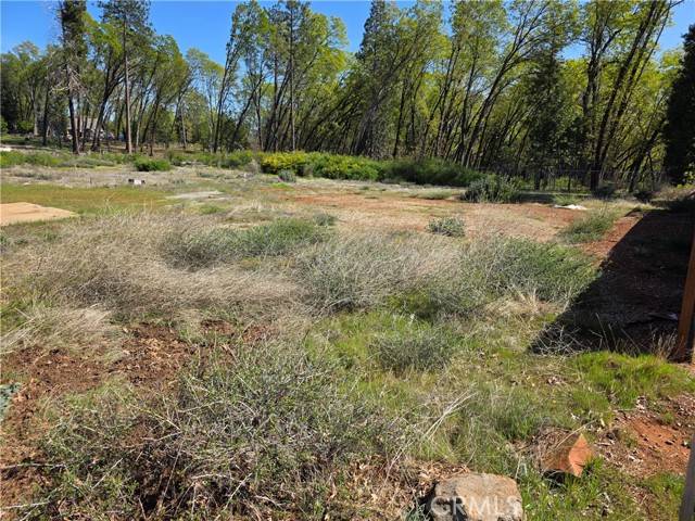 Magalia, CA 95954,13518 S Park
