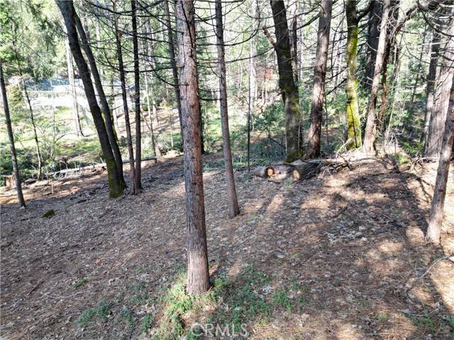 Magalia, CA 95954,0 Skyway