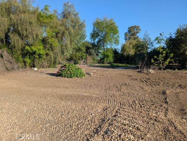 Willows, CA 95988,421 5th
