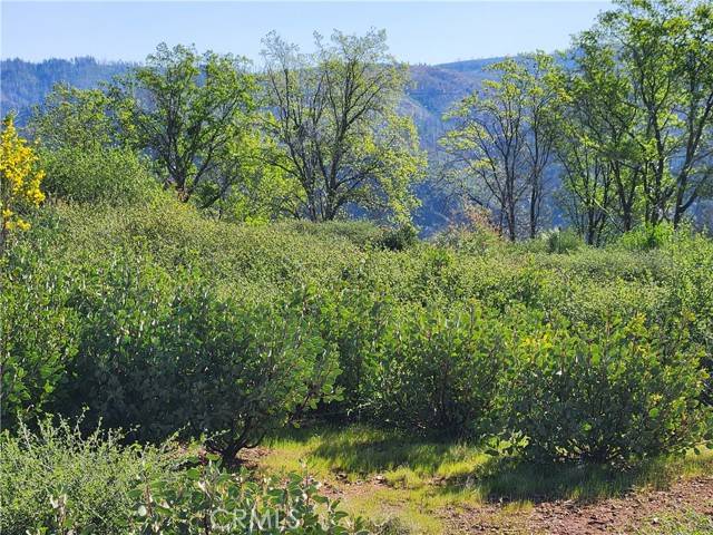 Magalia, CA 95954,14248 Monte Calle