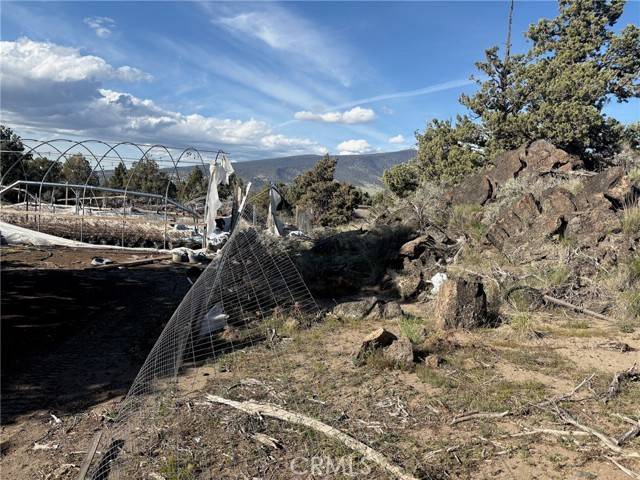 Weed, CA 96064,17 Lot 17 Jennie