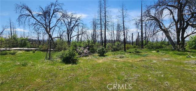 Berry Creek, CA 95916,51 Horseshoe